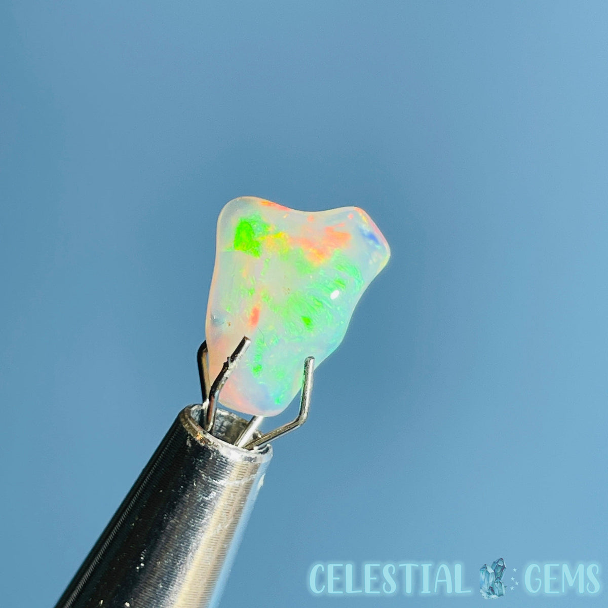 AAA Ethiopian 'Fire' Welo Opal Polished Mini Crystal in Specimen Pottle (Video)