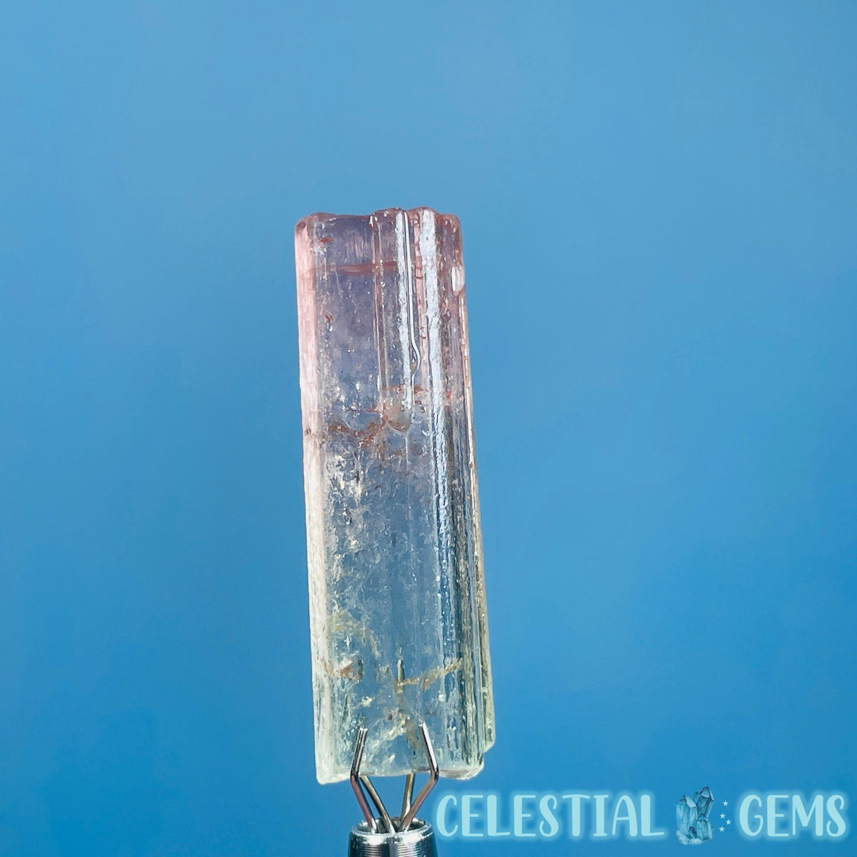 Bi-Colour Pink Yellow Tourmaline Whole Crystal Small Specimen in Display Frame