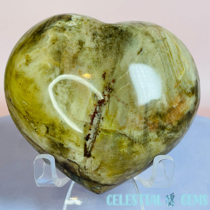 Petrified Wood Heart Medium Carving