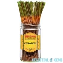 WildBerry Incense Traditional Stick (28cm) x50 - Evergreen