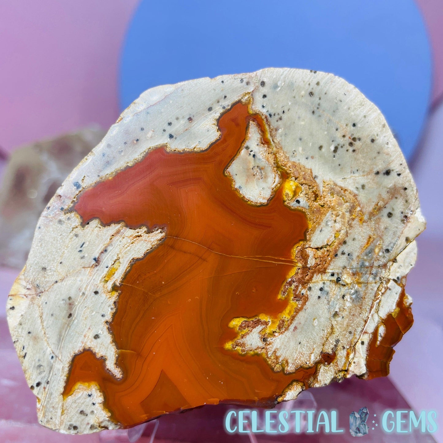 Australia Thunder Egg Agate Half Polished Geode - Medium