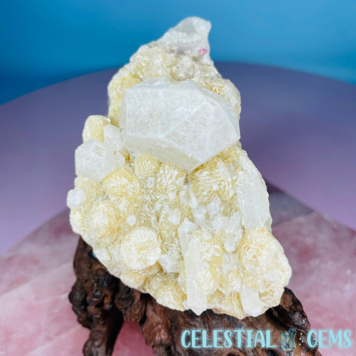 Pink Tourmaline in Quartz with Albite, Lepidolite + Muscovite Rosettes Small Raw Cluster Specimen