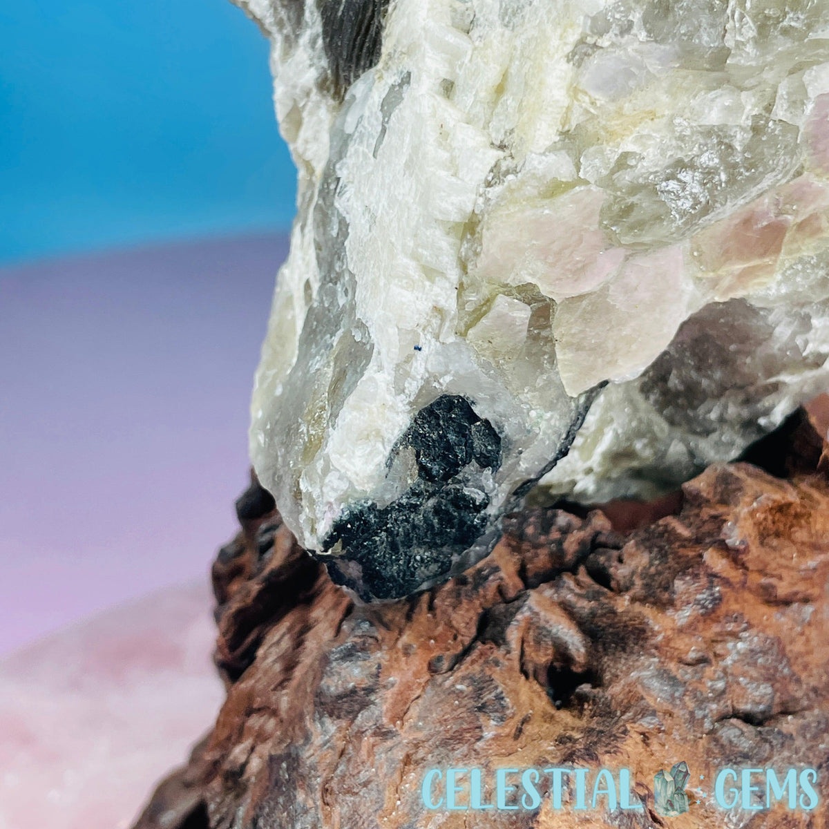 Pink + Black Tourmaline in Smoky Quartz with Lepidolite + Muscovite Raw Medium Chunk Specimen