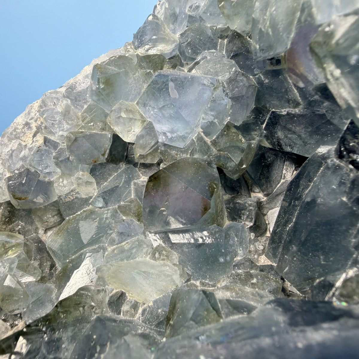 Celestite Large Cluster Geode