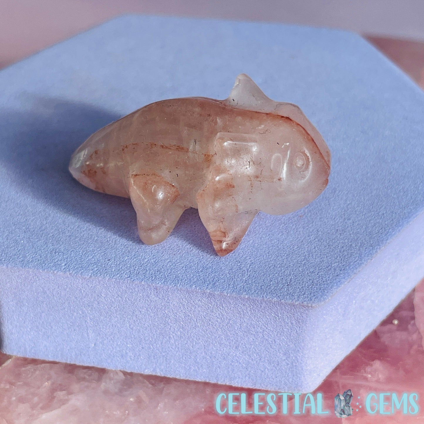 Axolotl Small Carving (3 Materials)