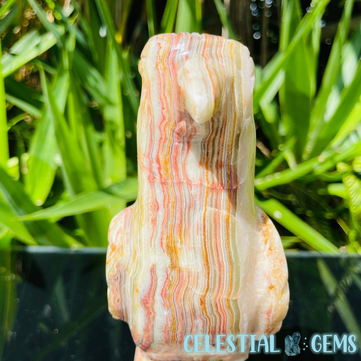 Banded Onyx Calcite Bird Large Carving