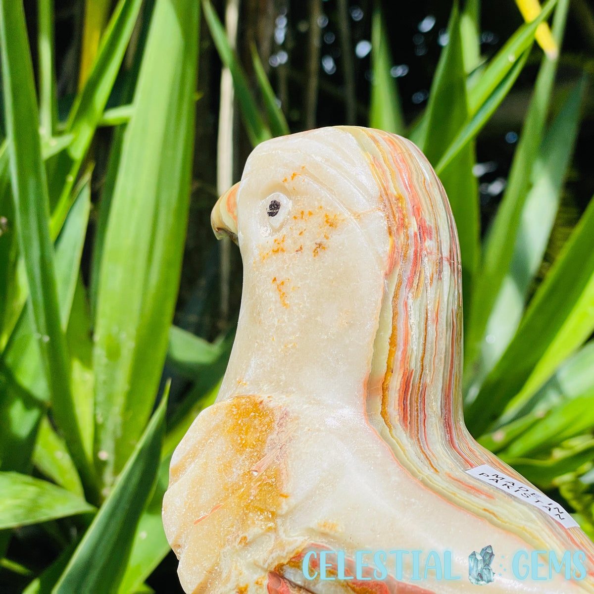 Banded Onyx Calcite Bird Large Carving