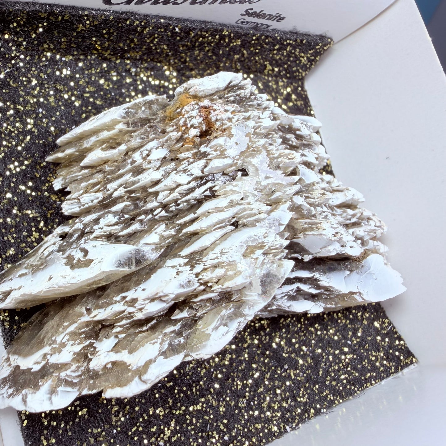Rare Christmas Tree Selenite Specimen, Germany