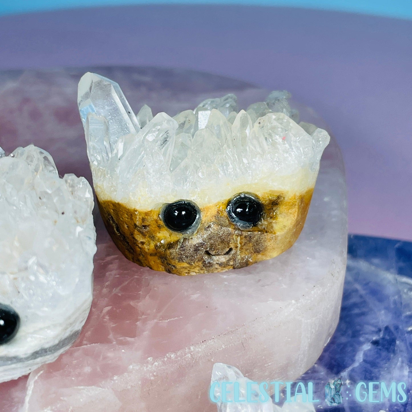 Clear Quartz Cluster Pet Rock