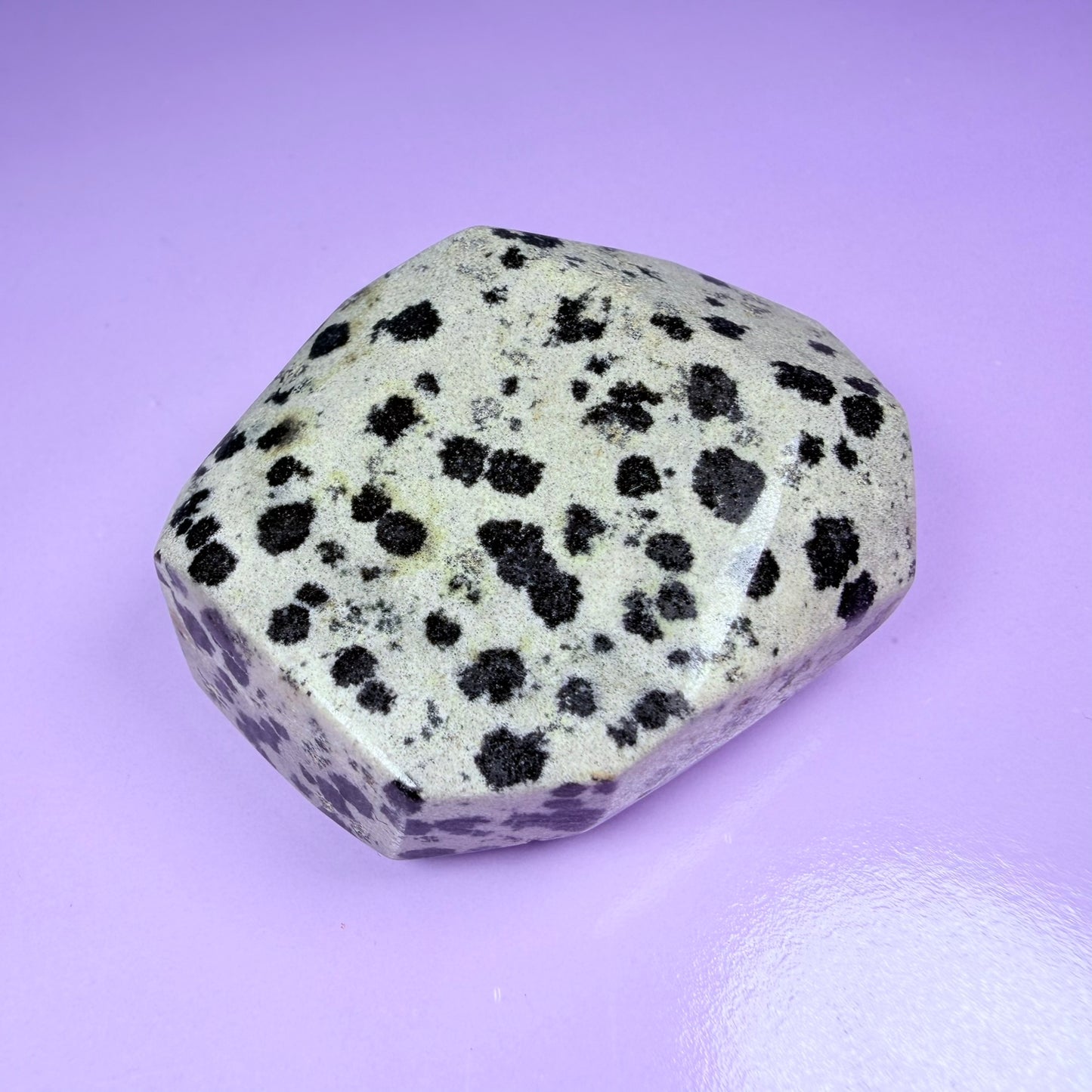 Dalmatian Jasper Small Freeform