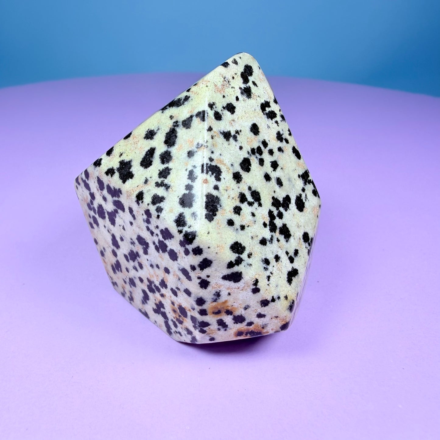 Dalmatian Jasper Small Freeform