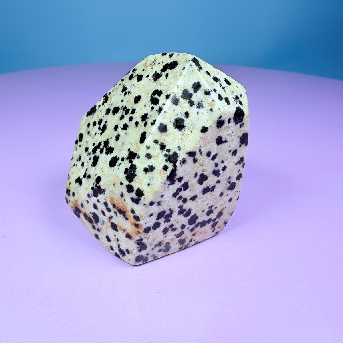 Dalmatian Jasper Small Freeform