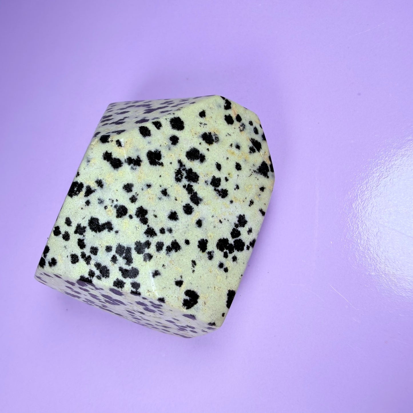 Dalmatian Jasper Small Freeform