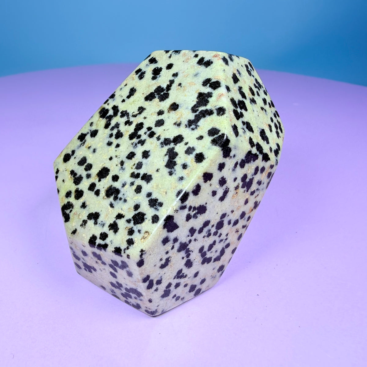 Dalmatian Jasper Medium Freeform