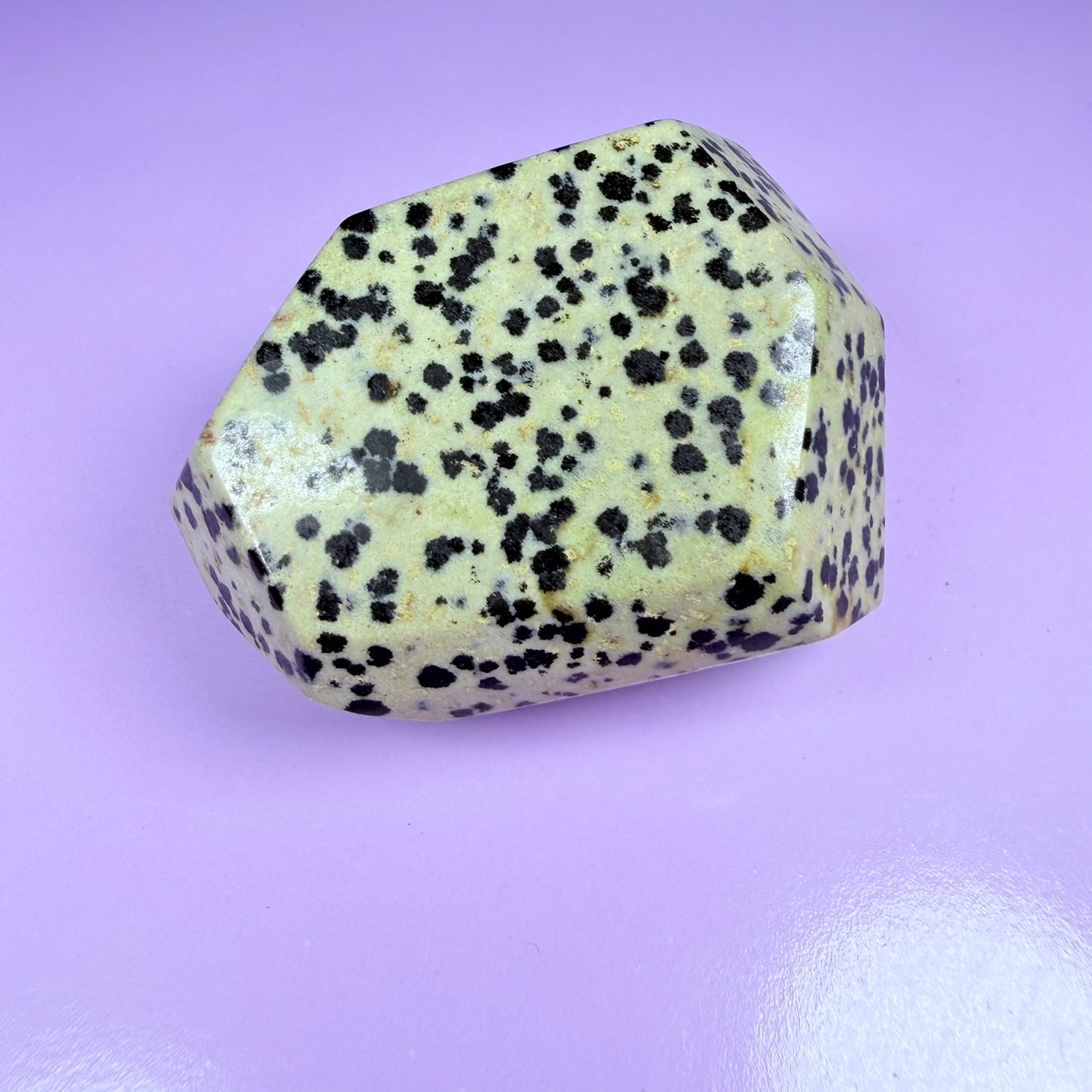 Dalmatian Jasper Medium Freeform