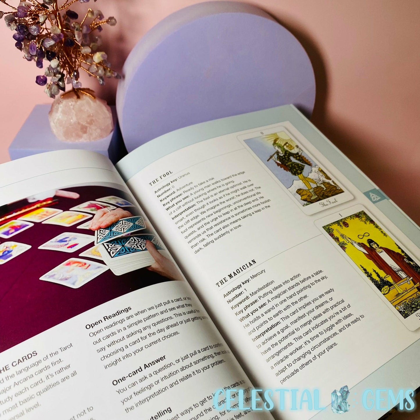 The Fortune Telling Directory Book by Isabella Drayson