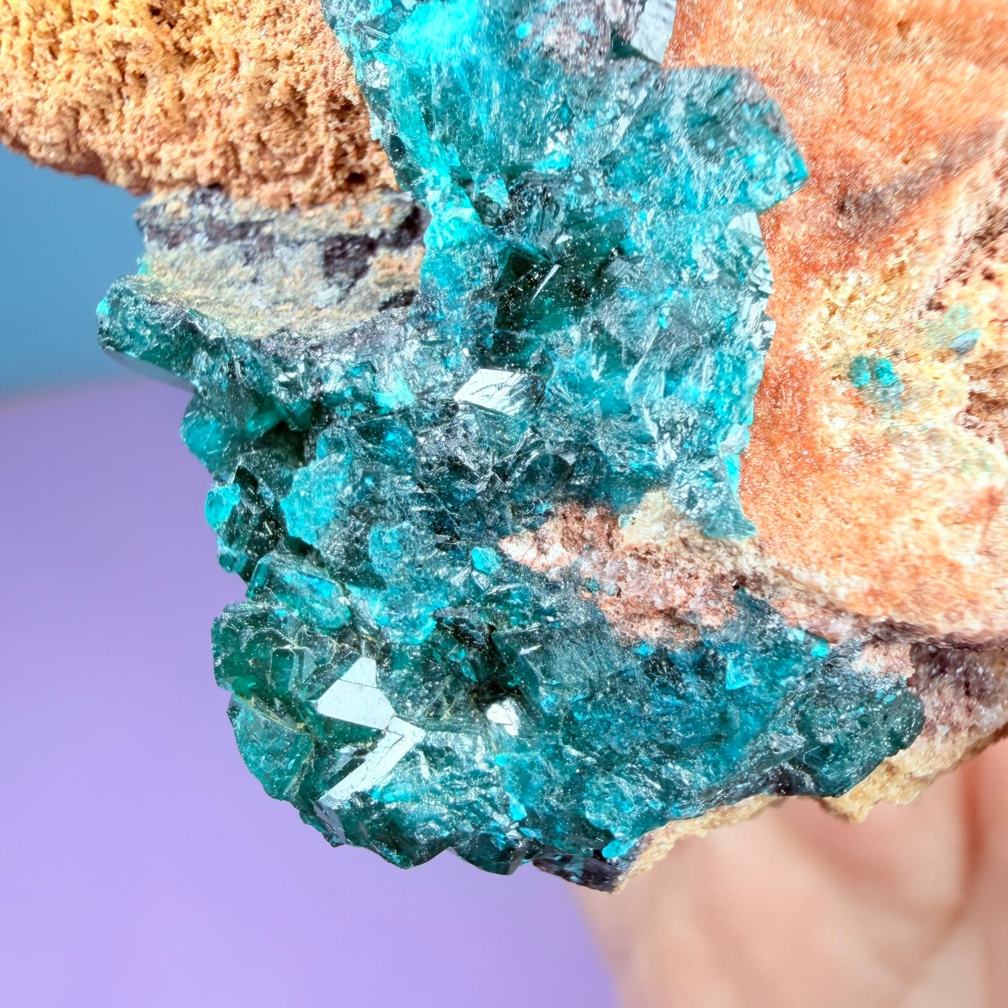 Rare Dioptase + Malachite Cluster Specimen (Video)