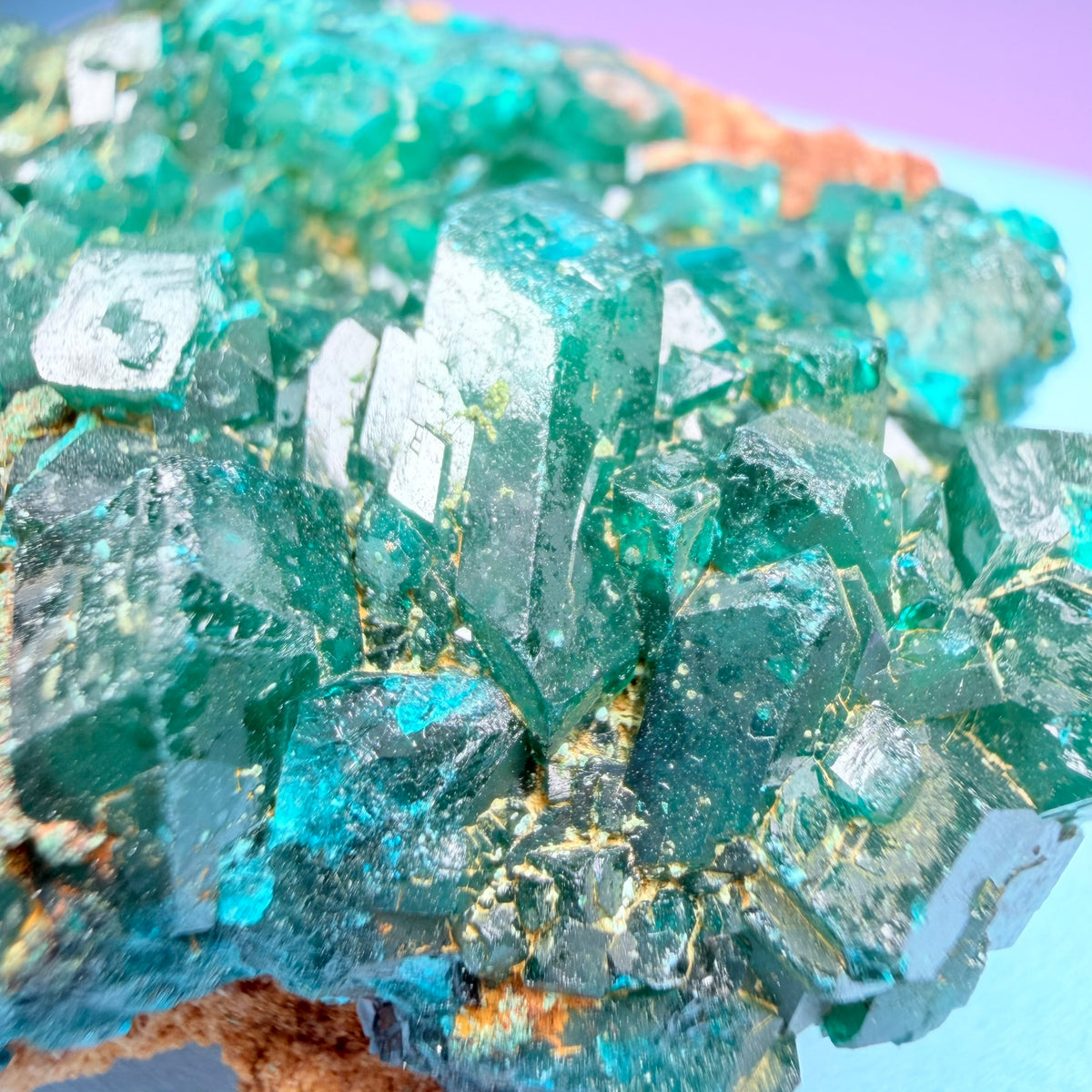 Rare Dioptase Cluster Specimen (Video)