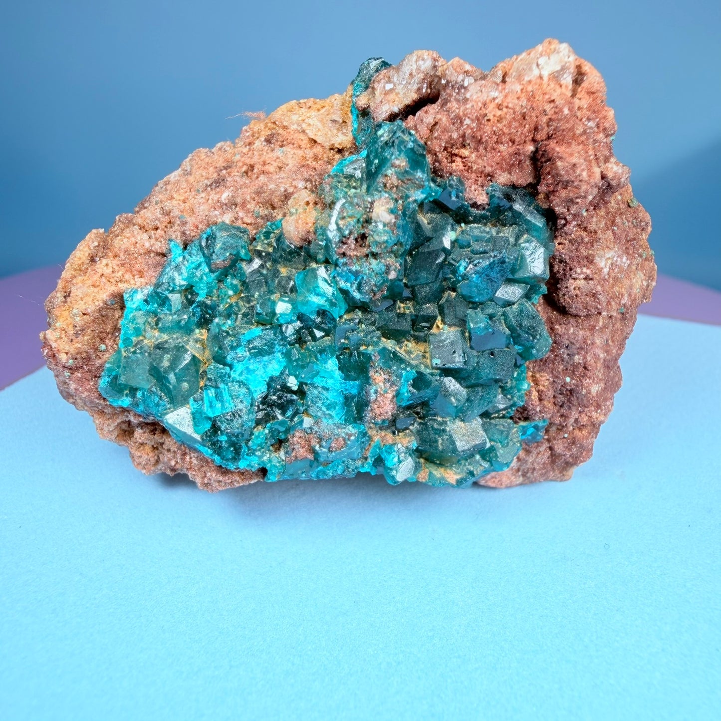 Rare Dioptase Cluster Specimen (Video)