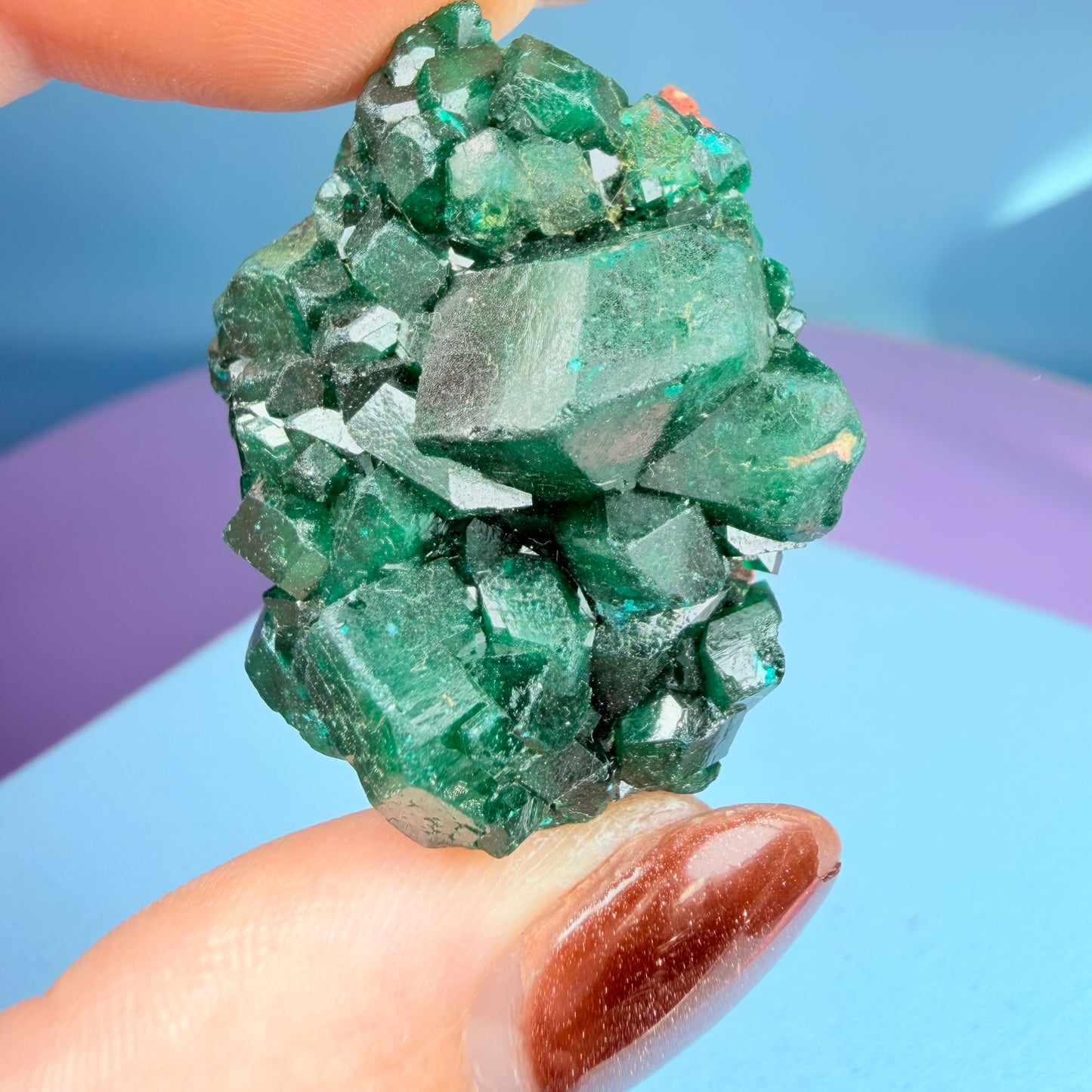 Rare Dioptase Cluster Specimen (Video)