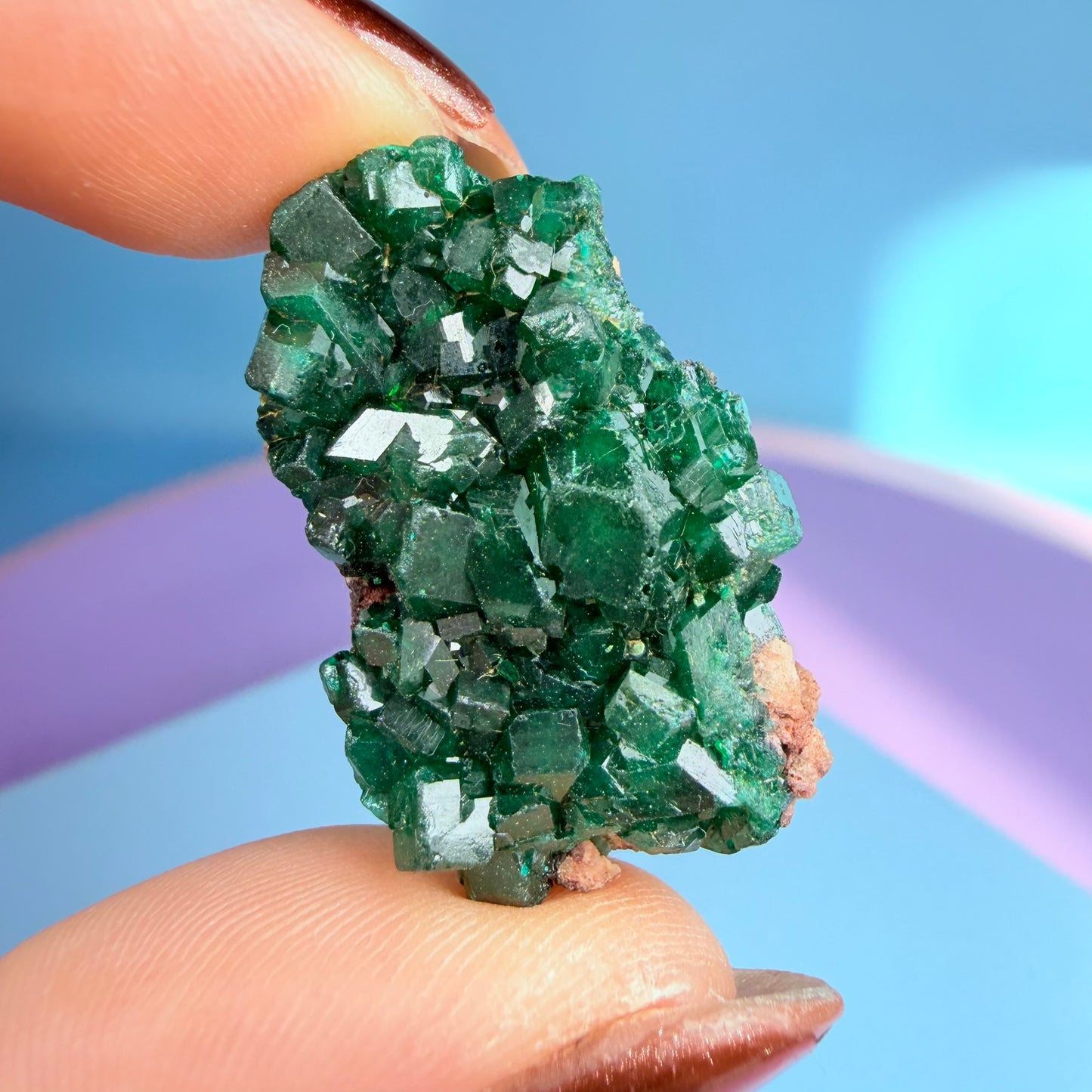 Rare Dioptase Cluster Specimen (Video)