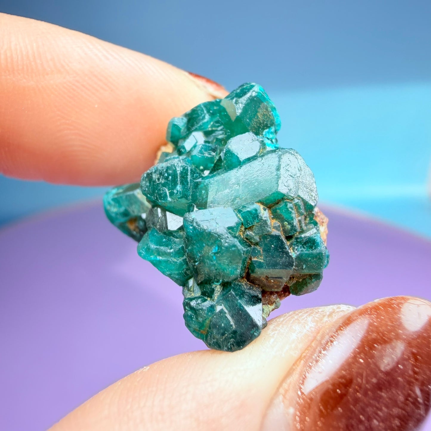 Rare Dioptase Cluster Specimen (Video)