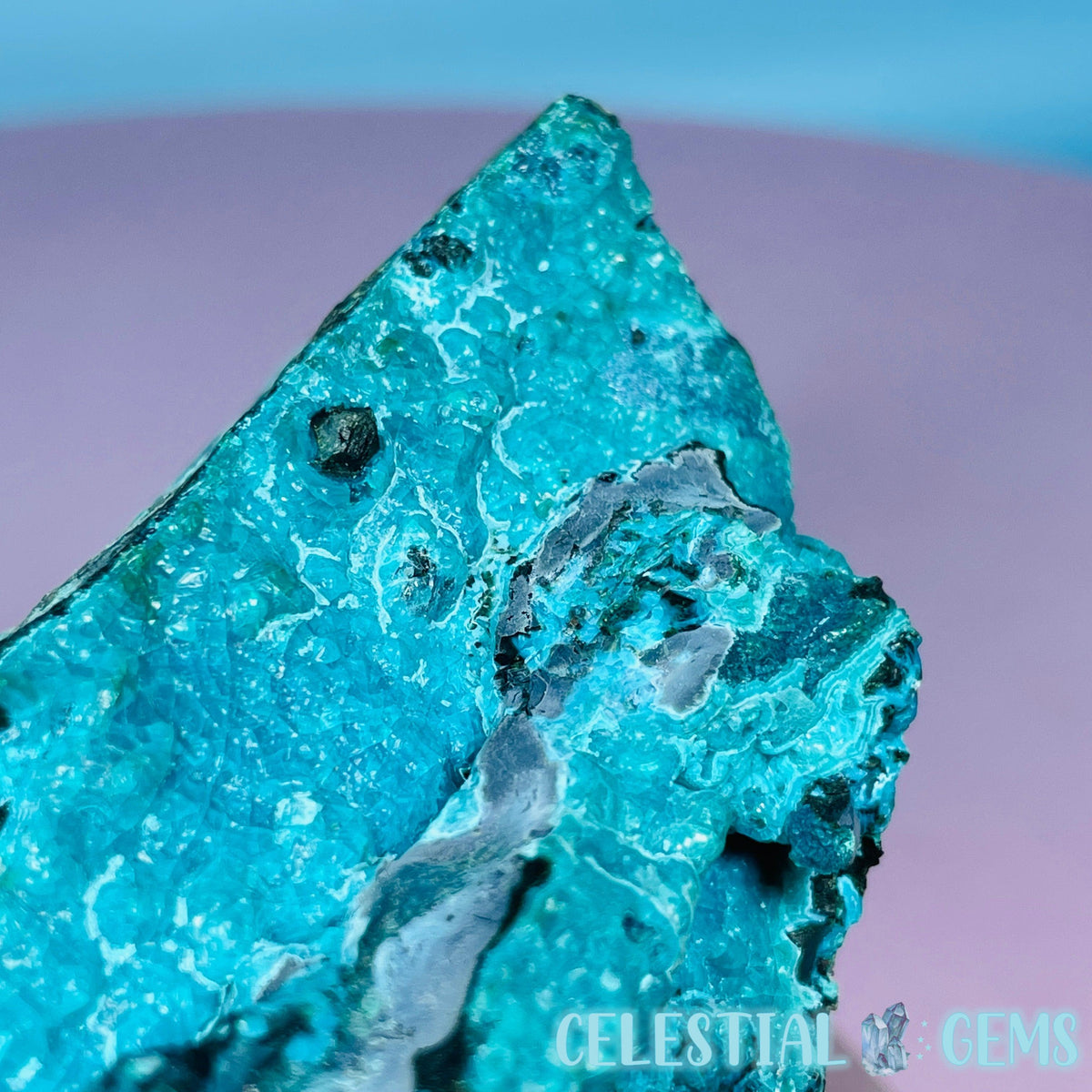 Gem Silica Chrysocolla + Shattuckite Raw Large Specimen