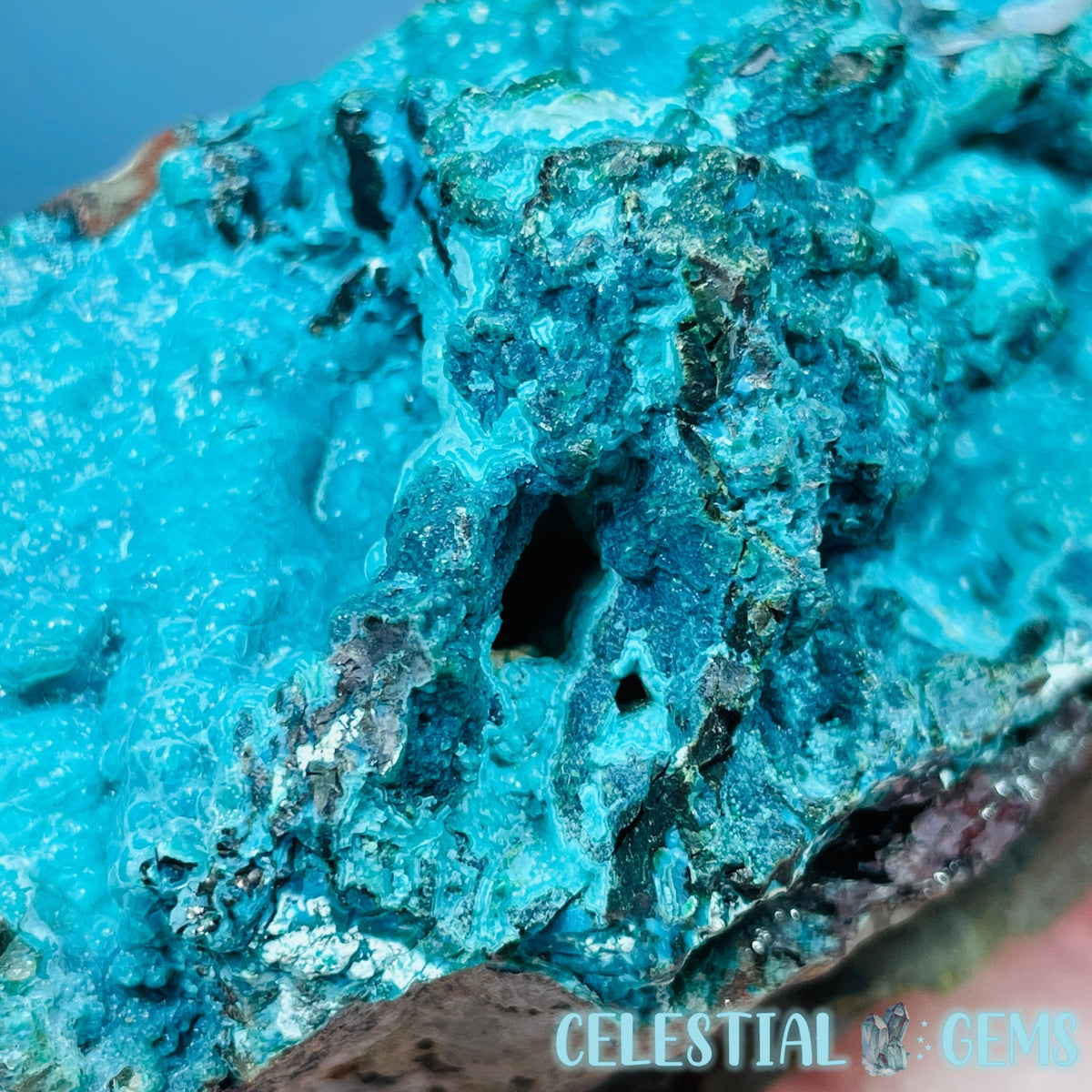 Gem Silica Chrysocolla + Shattuckite Raw Large Specimen