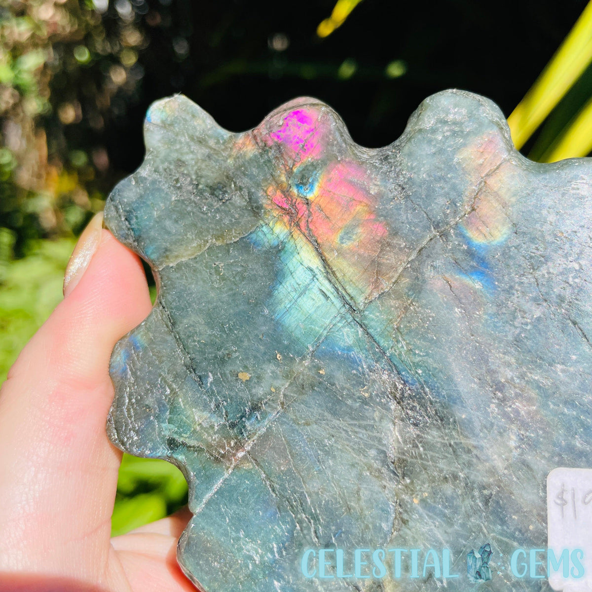 Labradorite Mushroom Troop Large Carving