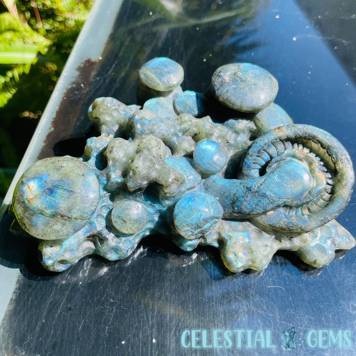 Labradorite Mushroom Troop Large Carving