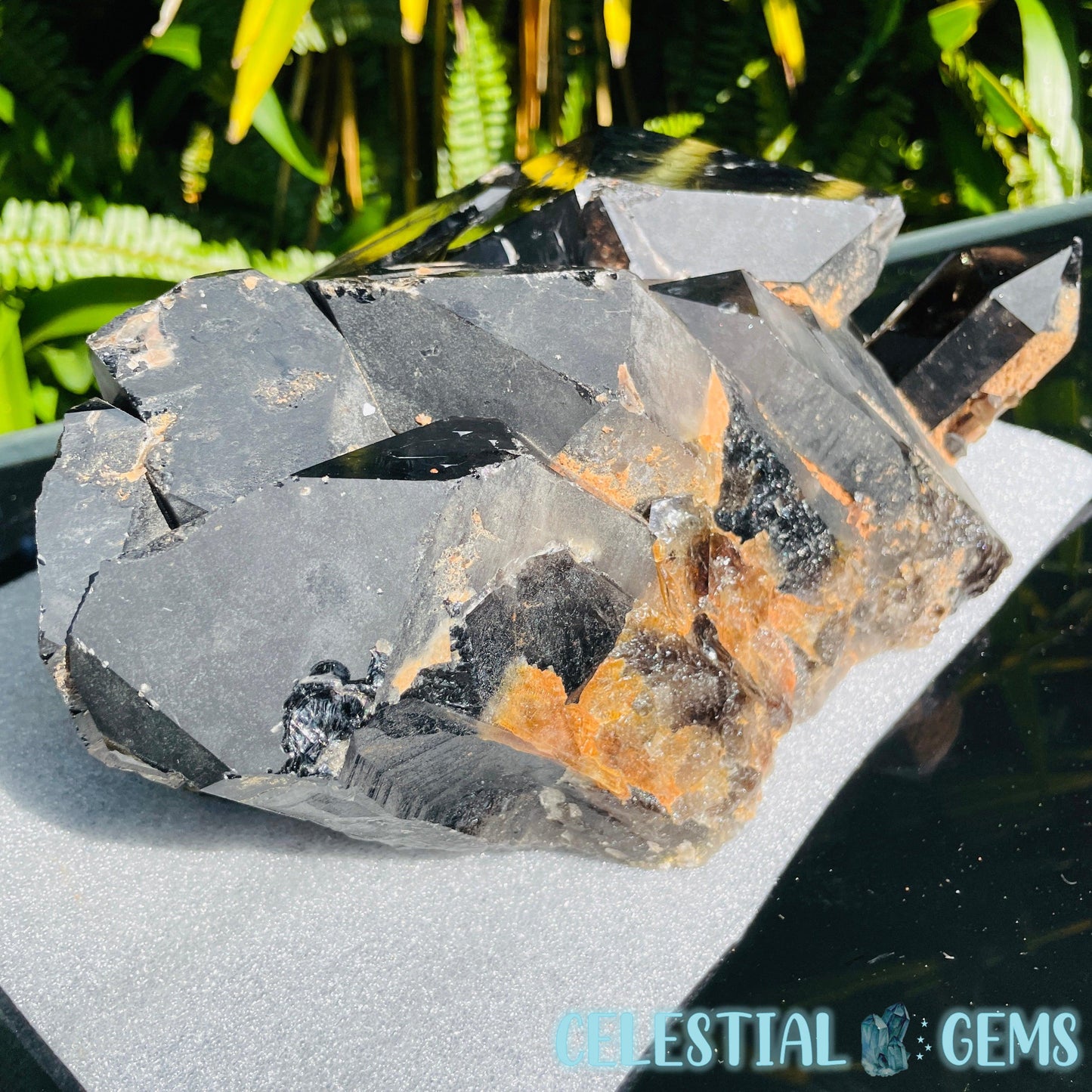 Black Smoky Quartz XL Cluster