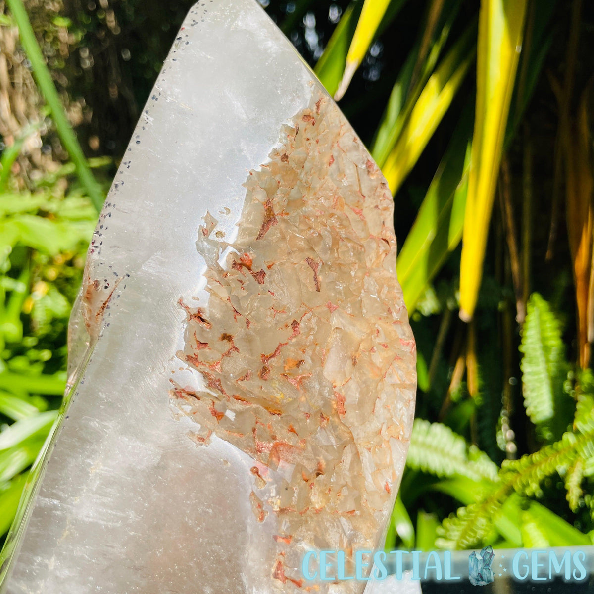 Rare Specular Hematite in Quartz XXL Semi-Polished Natural Point with Elestial Growth