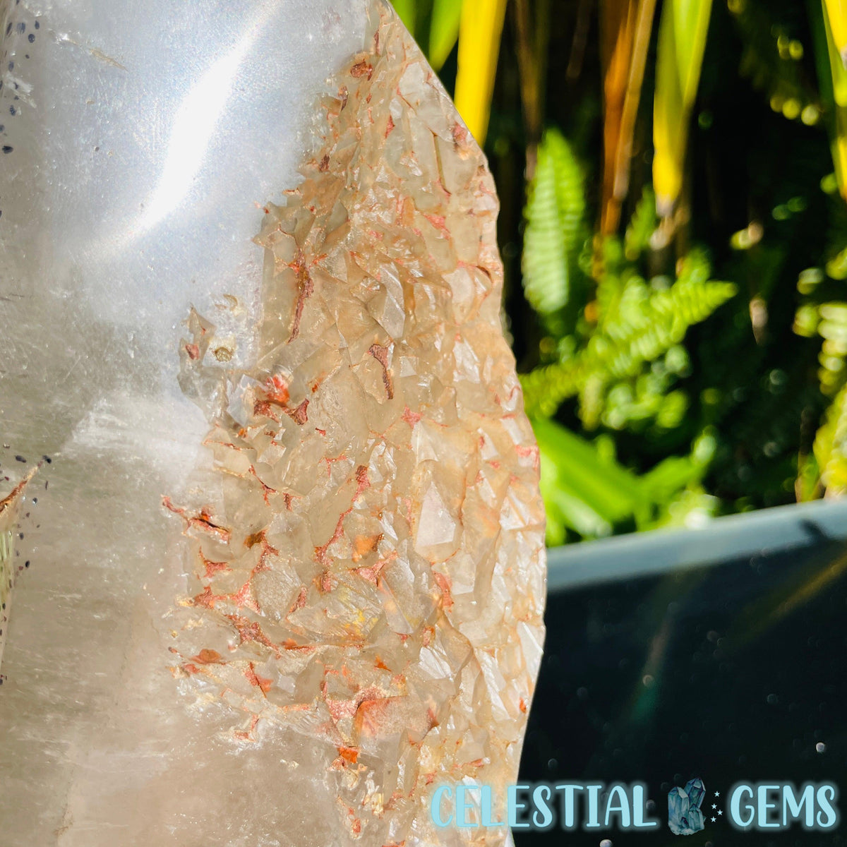 Rare Specular Hematite in Quartz XXL Semi-Polished Natural Point with Elestial Growth