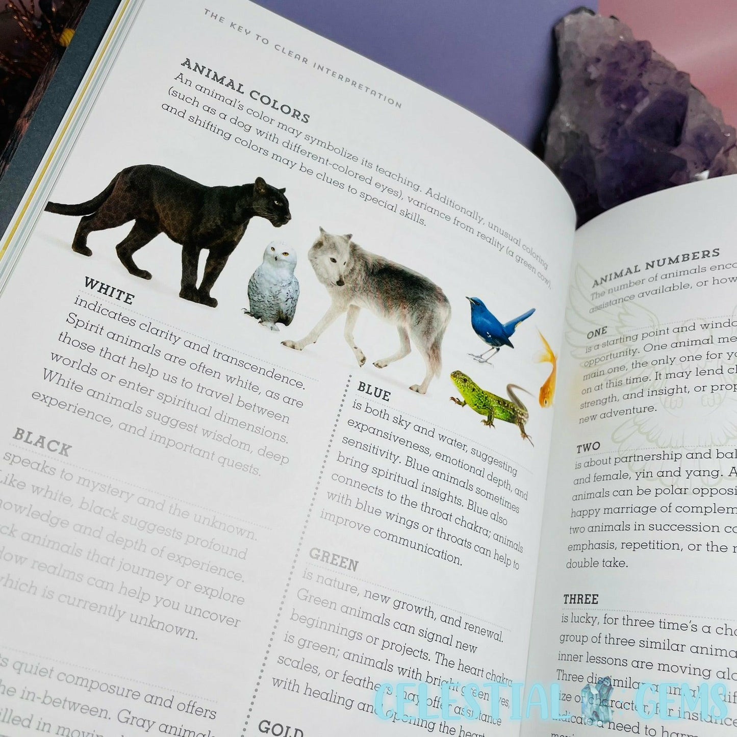 The Spirit Animal Directory Book by Dawn Baumann Brunke