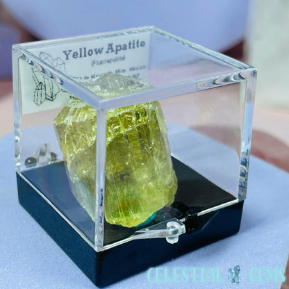 RARE Yellow Apatite Crystal Specimen J