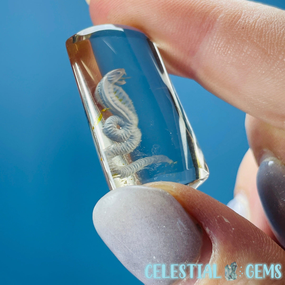 Citrine Garden Quartz Cobra Snake Hand-Carved Intaglio Reverse Lens Carving (Video)