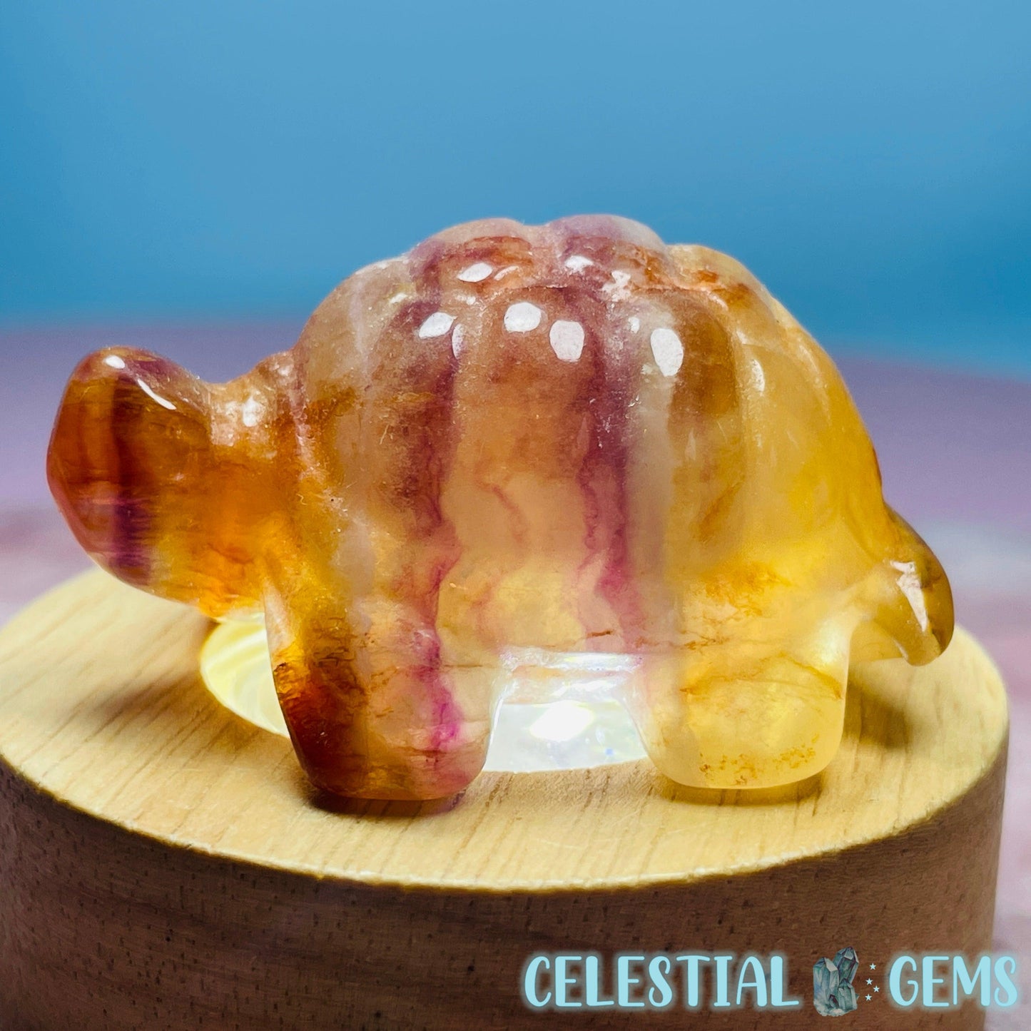Candy Fluorite Tortoise Carving