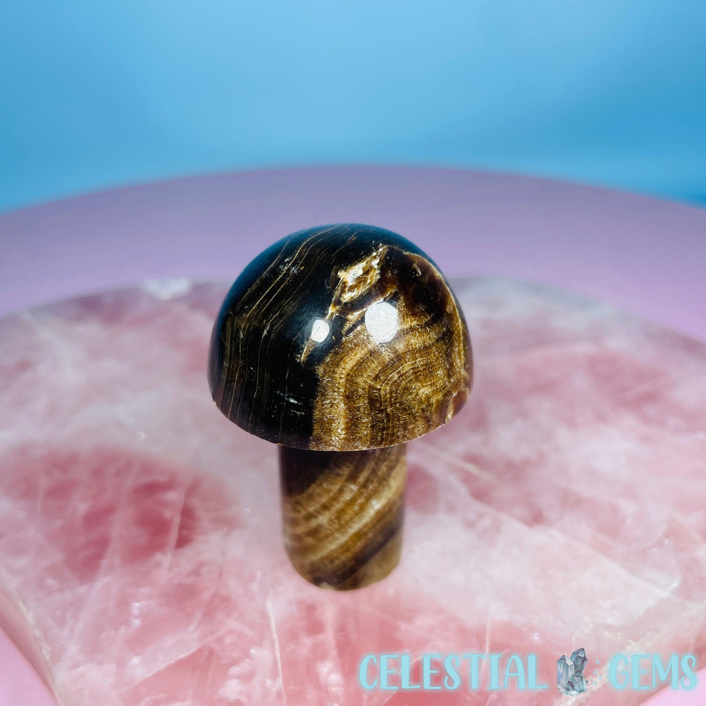 Chocolate Calcite Mushroom Medium Carving