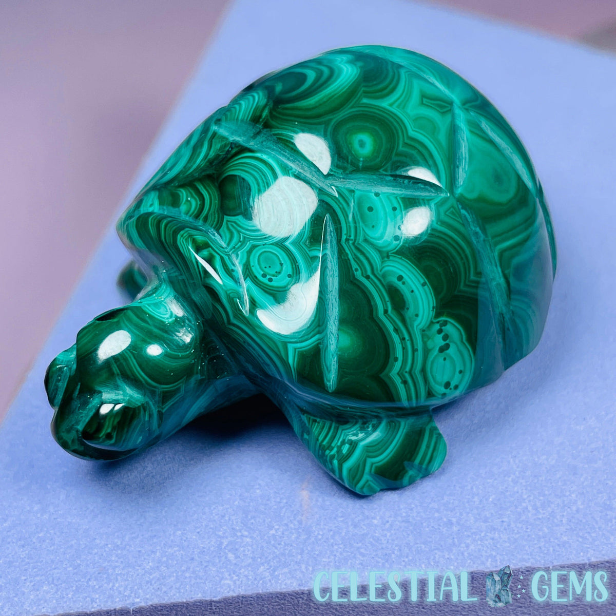 Malachite Tortoise Small Carving