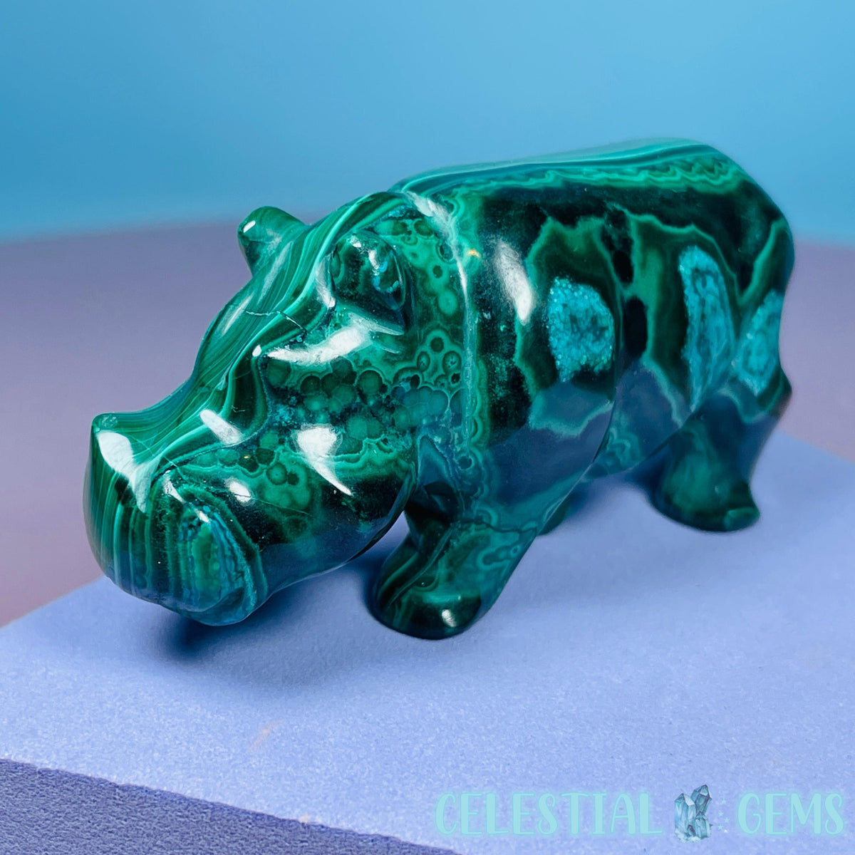 Malachite + Chrysocolla Hippopotamus Small Carving