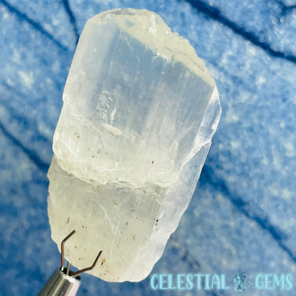 Kunzite (Spodumene) Small Crystal Specimen C