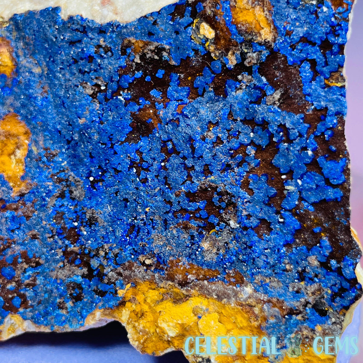 Druzy Azurite on Matrix Medium Cluster Specimen