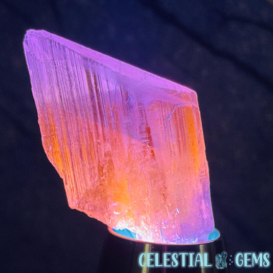 Kunzite (Spodumene) Small Crystal Specimen G