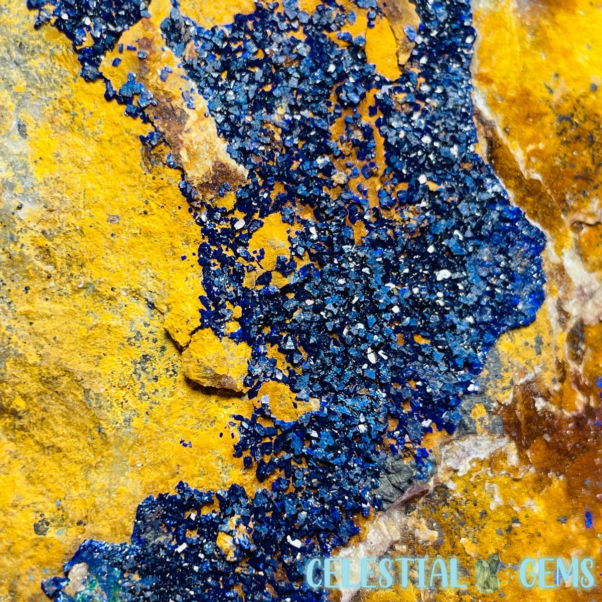Druzy Azurite on Matrix Medium Cluster Specimen