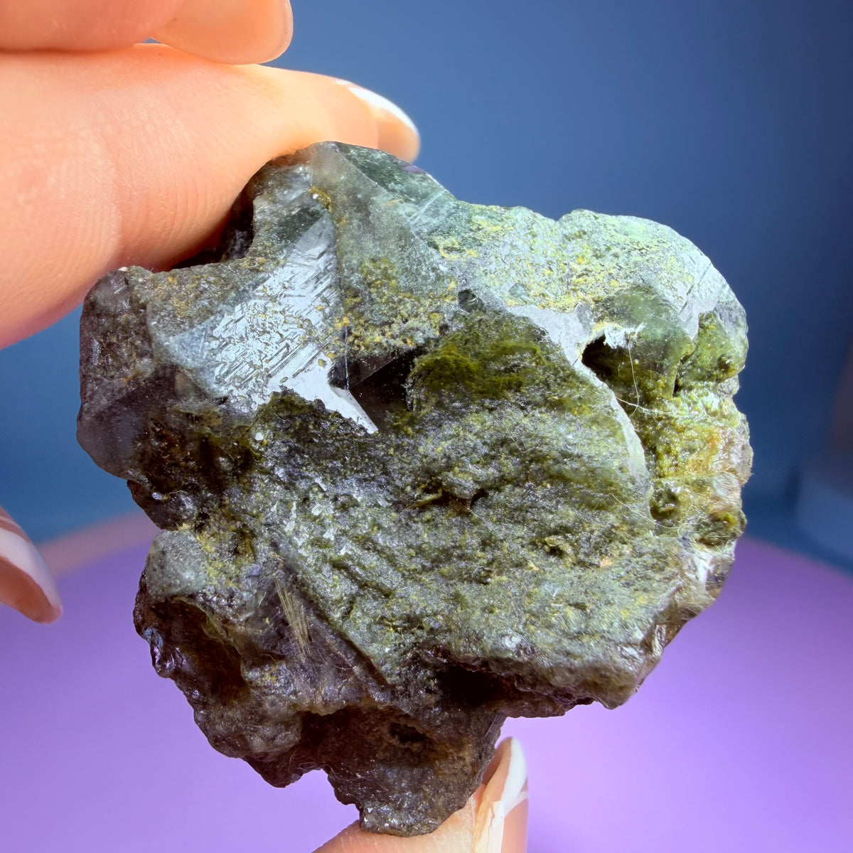Gold Rutile Chlorite Quartz Raw Piece with Polished Seer Window
