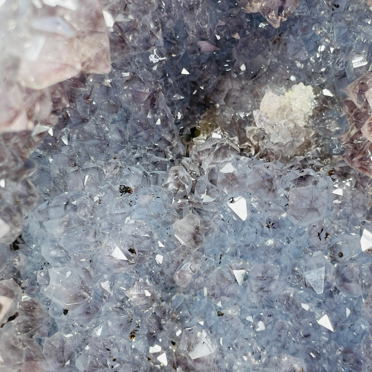 Amethyst + Agate Cluster Geode Medium Cave (Video)