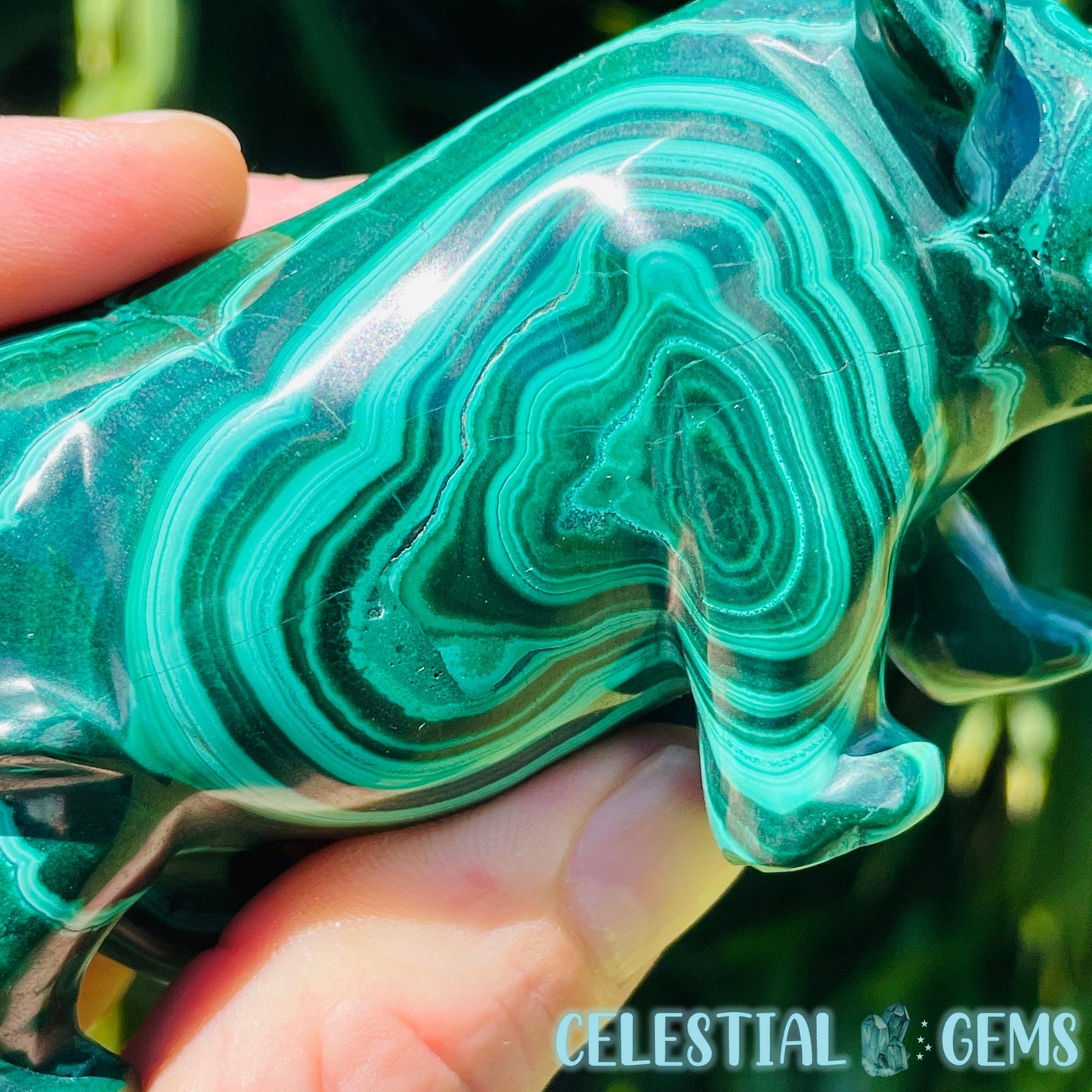 High Grade Malachite Rhinoceros Medium Carving (Gem Silica Inclusions!) A