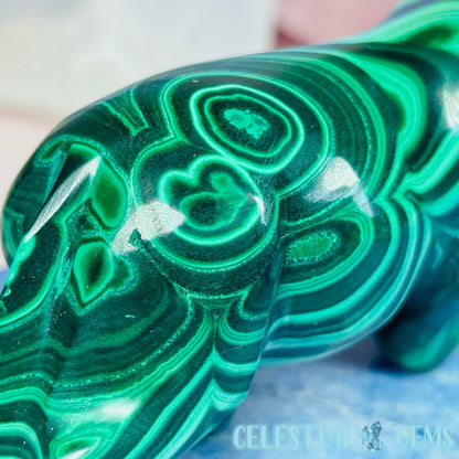 High Grade Malachite Panther Medium Carving