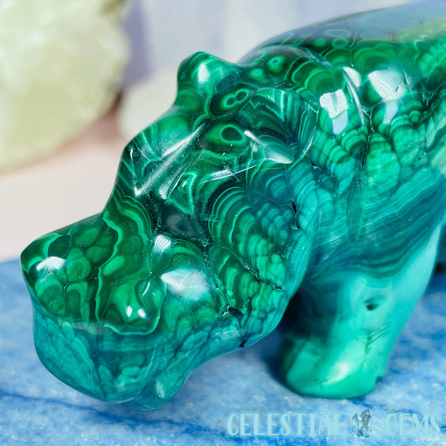 High Grade Malachite Hippo Medium Carving E