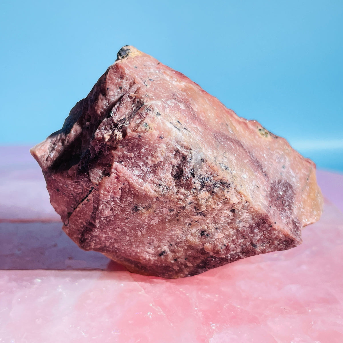 Cobaltocalcite 'Salrose' on Dolomite Raw Cluster Small Specimen (Video)